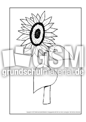 Sonnenblume.pdf